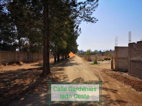 Terreno en Miahuatlán Oaxaca